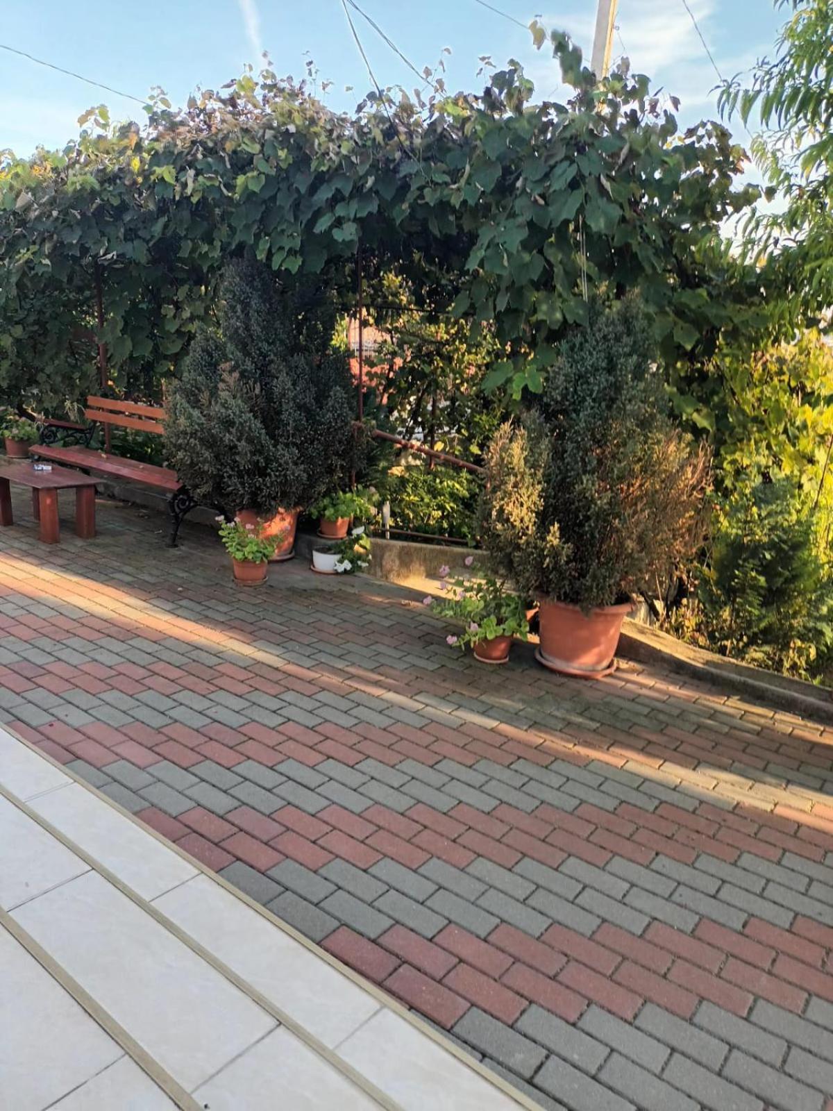 Villa Casa Matei Turda Exterior foto